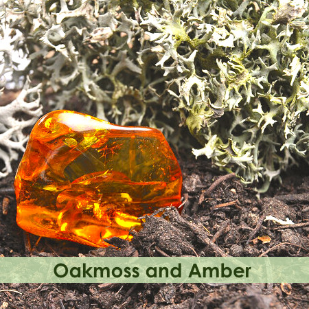 Crystal Amber Fragrance Oil